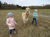 Kinder Wanderung